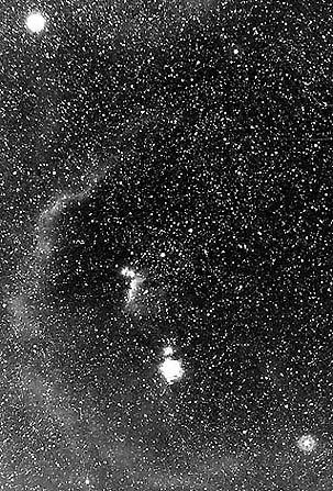 Constellation d'Orion